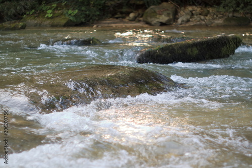 Picture of the clear water of a mountain stream.