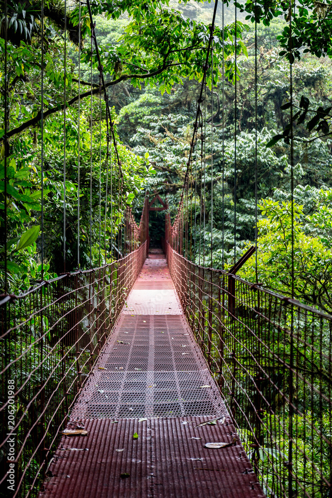 Obraz premium Wiszący most