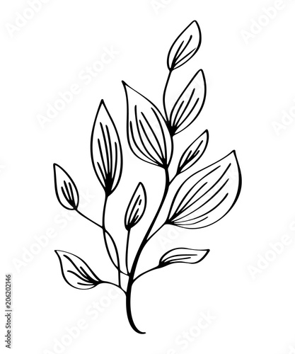 Fototapeta Naklejka Na Ścianę i Meble -  Hand drawn modern flowers drawing and sketch floral with line-art, vector illustration wedding design for t-shirts, bags, for posters, greeting cards, Isolated on white background