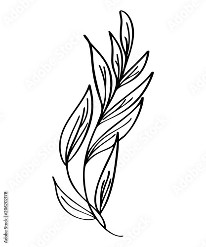 Fototapeta Naklejka Na Ścianę i Meble -  Hand drawn modern flowers drawing and sketch floral with line-art, vector illustration wedding design for t-shirts, bags, for posters, greeting cards, Isolated on white background
