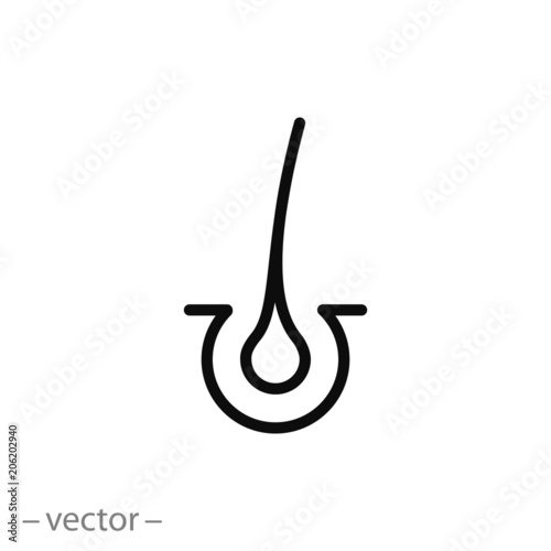 hair icon vector