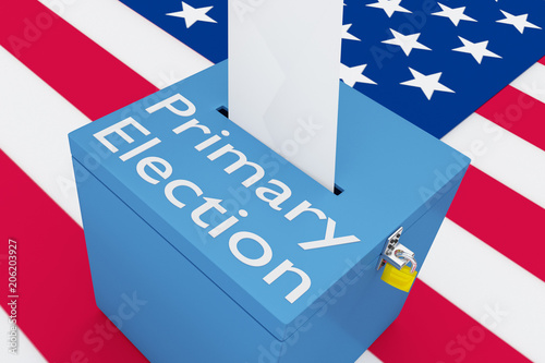 Primary Election concept