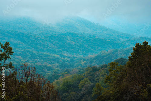high mountains peaks range clouds in fog scenery landscape national park view outdoor  at Chiang Rai, Chiang Mai Province, Thailand © Tony