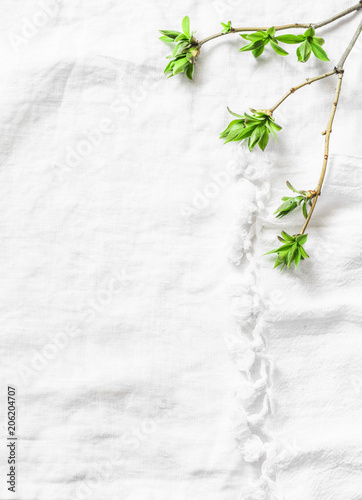 White napkin background with fresh green leaves branches with copy space. Rustic spring frame background composition with free space for text. Top view