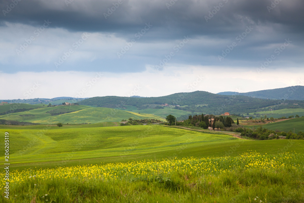 beautiful green summer landscape in Tuscany, Italy