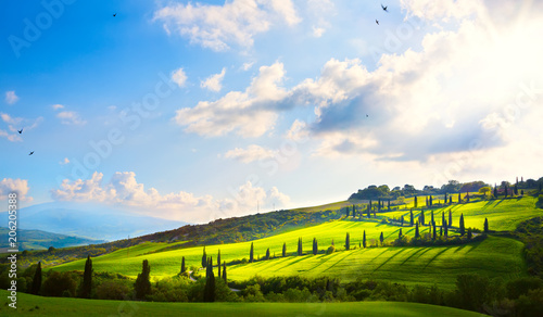 Photography italy; tuscany landscape; hillside road, cypresses and fields