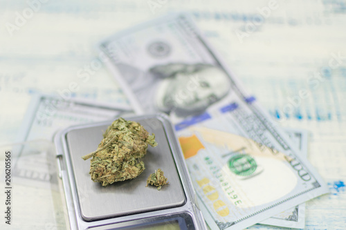 Sale, weighing of marijuana. Bud of marijuana on a jewelry scales against the background of dollars.