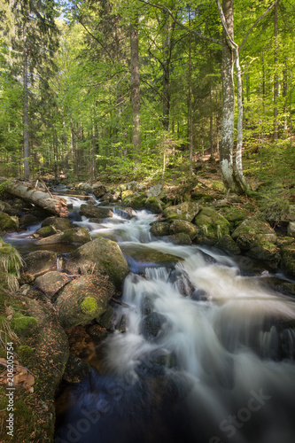 Fototapeta Naklejka Na Ścianę i Meble -  Stream in Bavarian forest