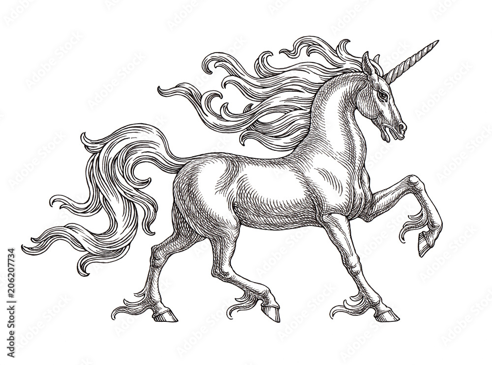 Идущий единорог, рисунок, графика чёрно-белая. Stock Illustration ...
