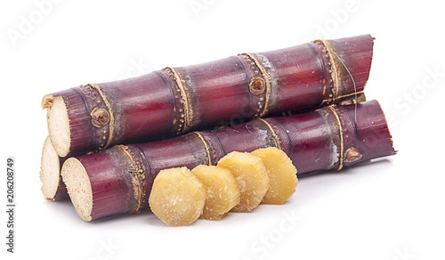 Sugar cane on white background