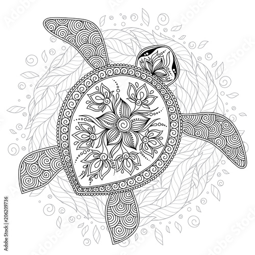 Vector illustration of sea turtle for Coloring book pages