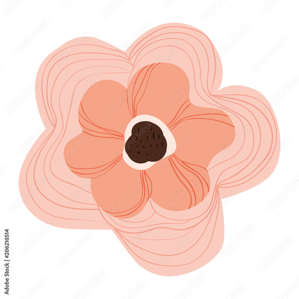 beautiful flower decorative icon vector illustration design beautiful flower decorative icon vector illustration design
