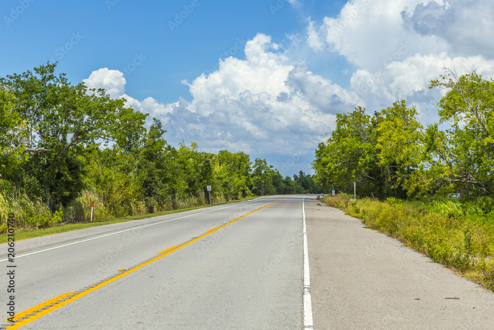 empty highway in america with trees and blue sky near New Orleans at Bayou de Lesaire empty highway in america with trees and blue sky near New Orleans at Bayou de Lesaire