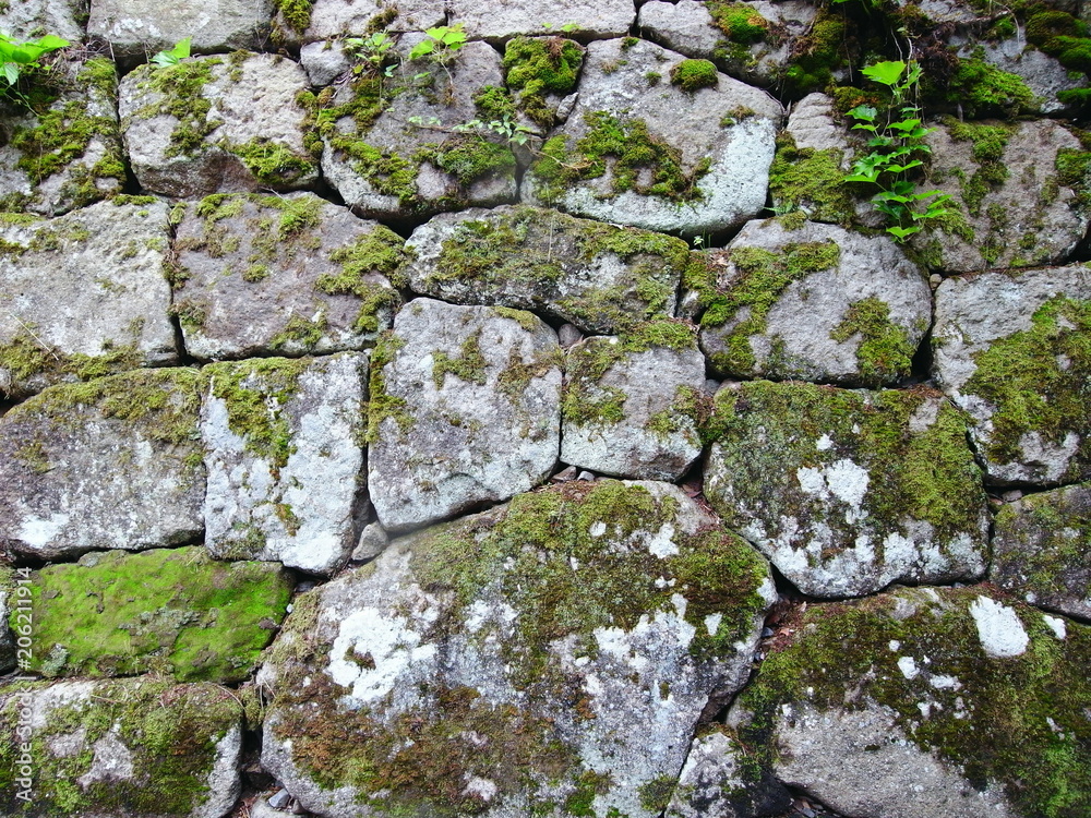 城の石垣 城の石垣