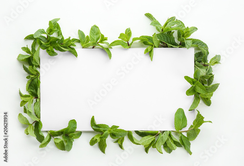 Blank card and fresh mint leaves on white background