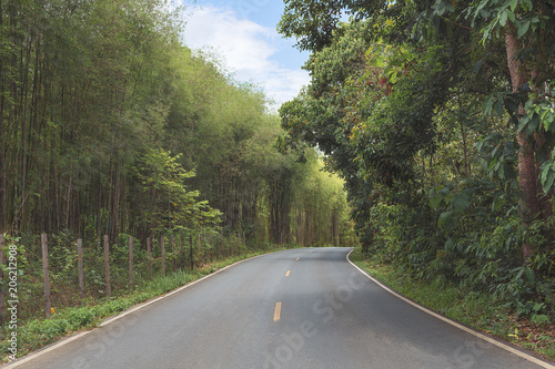 beautiful and romantic view of the road in the middle of the tropical forest