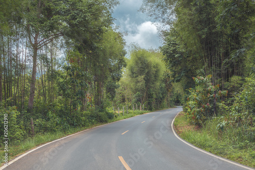 beautiful and romantic view of the road in the middle of the tropical forest
