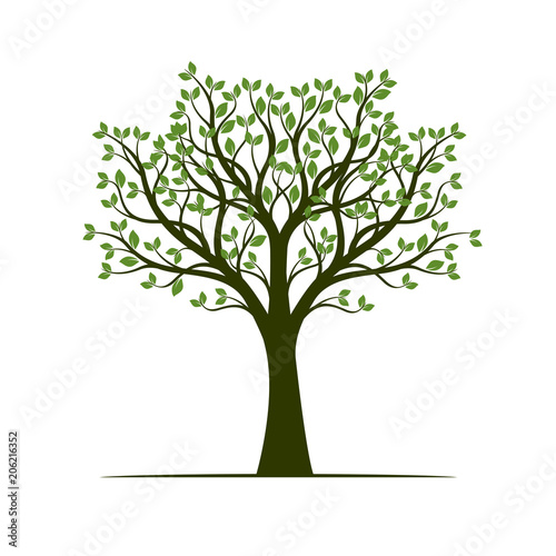 Green Spring Tree. Vector Illustration.