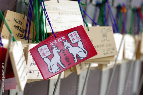 vietnam landscape and life