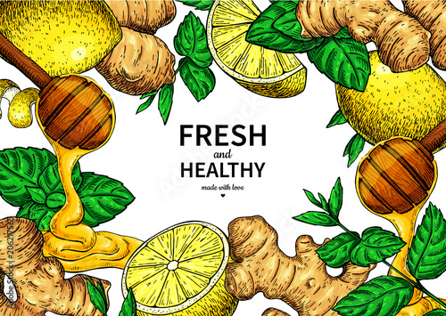 Honey, ginger, lemon and mint vector frame drawing. Wooden spoon, honey drop,