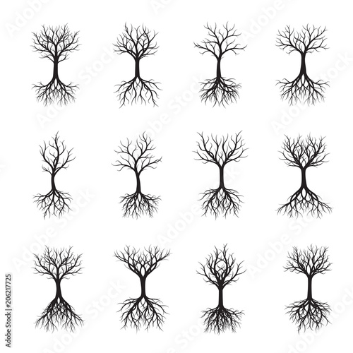 Set of black naked Trees with root. Vector Illustration.