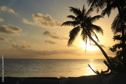                                                     Beautiful Sunset in Tahiti paradise