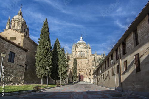 Entrada a la catedral de Salamanca, Patio Chico