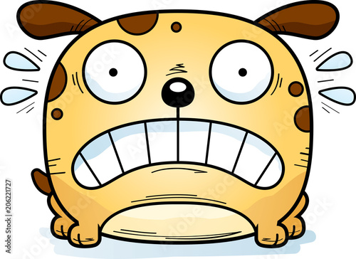 Terrified Little Dog