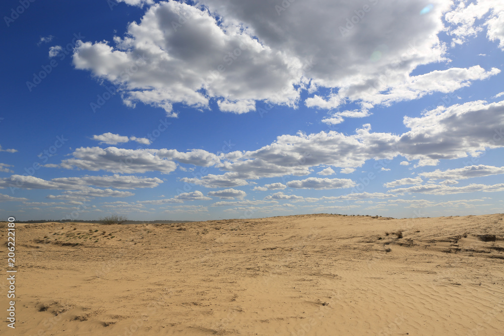 sandy desert scene