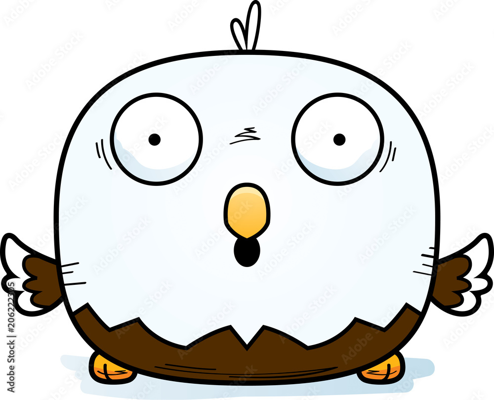 Obraz premium Surprised Little Bald Eagle