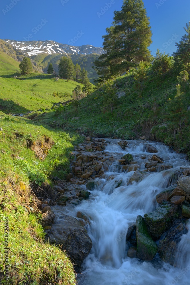 Brook in spring Brook in spring