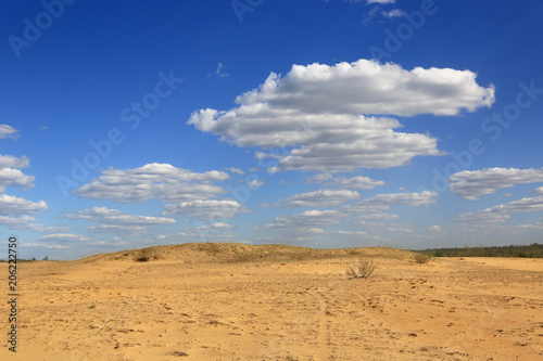 yellow and blue in sandy desert