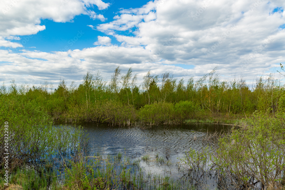 small lake on bog