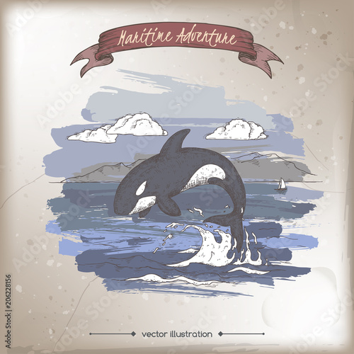 Jumping whale color sketch. Maritime adveture series.