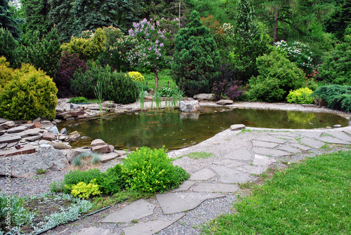 Pond with koi carps and landscape with blooming bushes around, view from central alley of botanical garden, Kharkiv, Ukraine