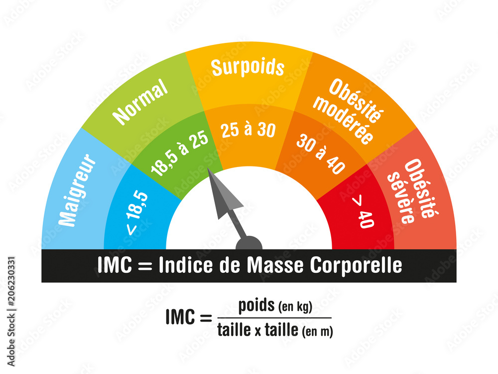 IMC-Indice de Masse Corporelle-1 vector de Stock | Adobe Stock