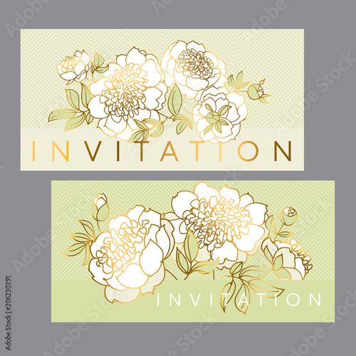 Tender white peony flower w...