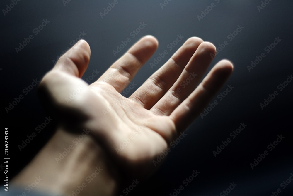 Fototapeta premium Hand Reaches Up Toward the Light
