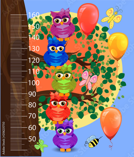Kids height meter with cute owls. Funny stadiometer from 50 to 160 centimeter.