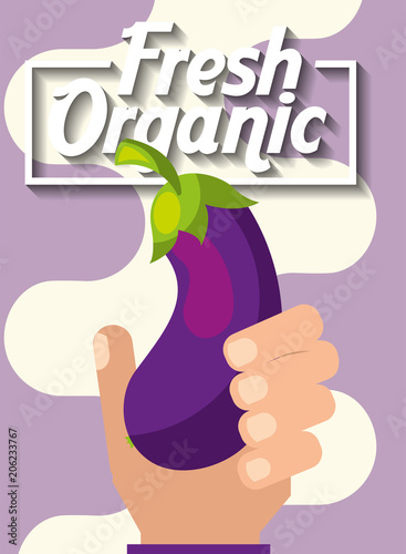 hand holding vegetable fresh organic eggplant vector illustration photo