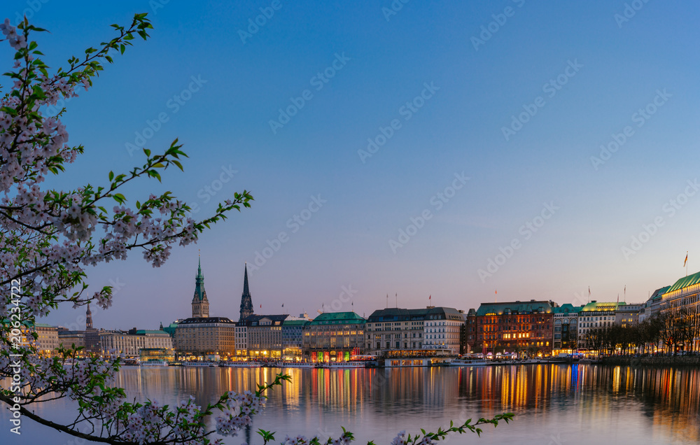 Naklejka premium Beautiful panoramic view of calm Alster river with Hamburg town hall - Rathaus behind the buildings on evening. Golden hour with cherry blossom tree in foreground