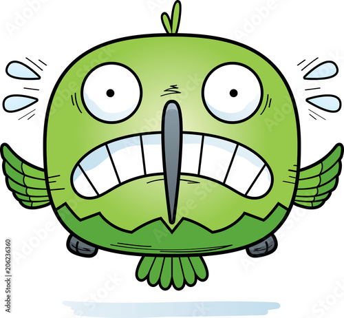 Scared Little Hummingbird