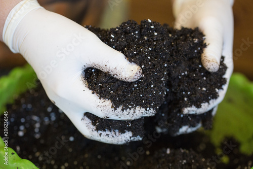 Hands in white gloves are mixed with mineral fertilizers