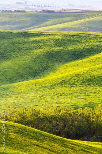 Rolling field with lights and shadows