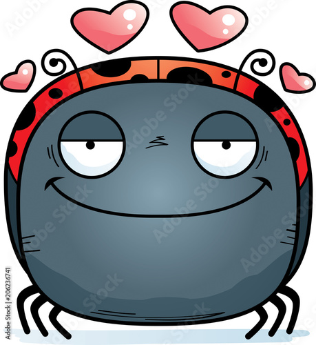 Little Ladybug in Love