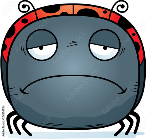 Sad Little Ladybug