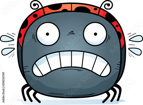Scared Little Ladybug