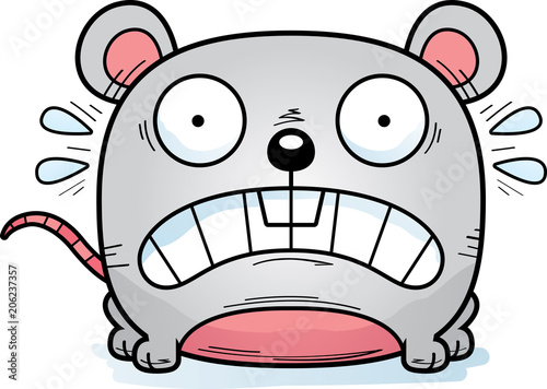 Terrified Little Mouse