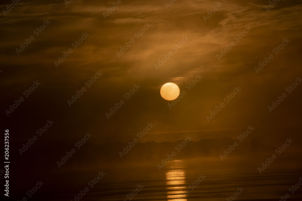 Fototapeta premium Rey sol