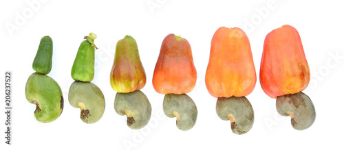 red cashew fruit isolated on white background